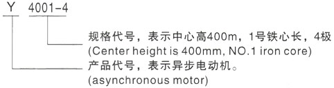 西安泰富西玛Y系列(H355-1000)高压YKK5602-6三相异步电机型号说明